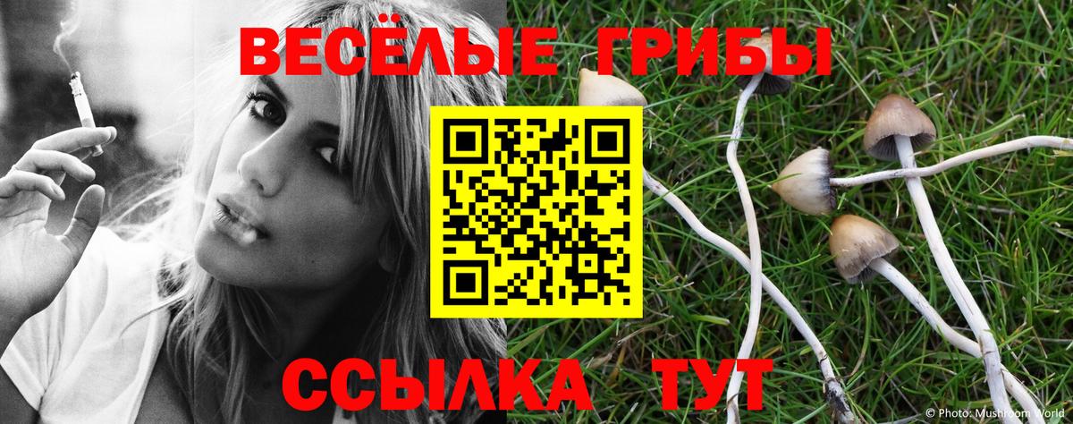 Изобильный  Псилоцибиновые грибы мицелий  Вход с VPN 