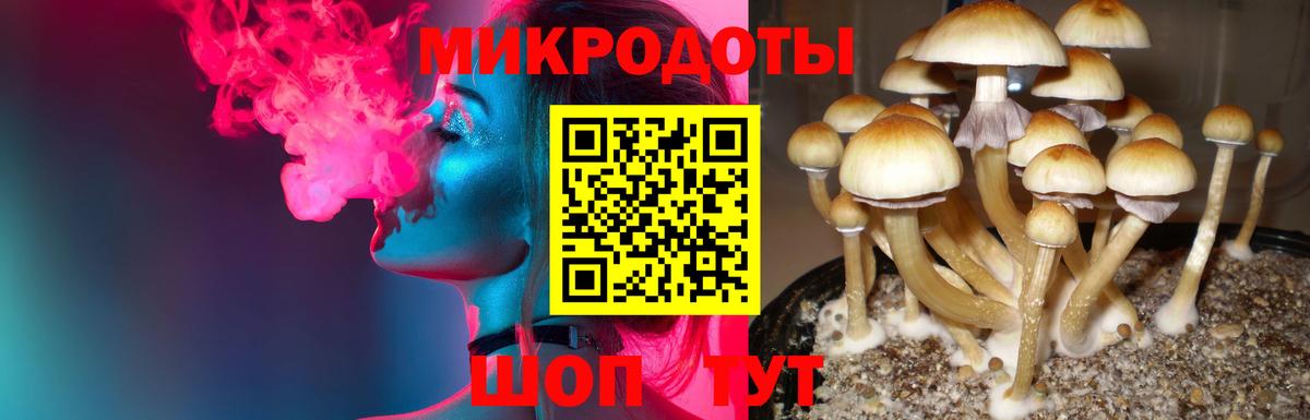 Псилоцибиновые грибы Cubensis Изобильный